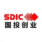 国投电力（600886）5月6日主力资金净卖出212912万元