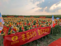 【战新产业“百大工程”】国投聚焦生物育种产