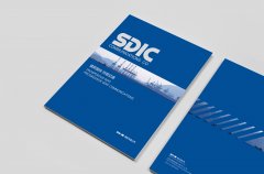 国投电力600886现在怎么样（2025111）