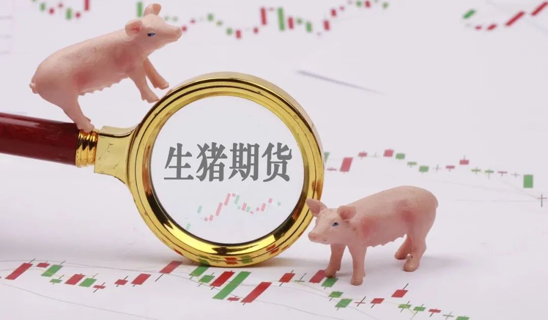 当临期货混入双11临期商品的我们究竟在什么?